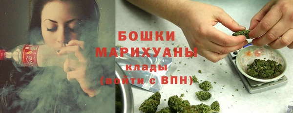 дживик Аркадак