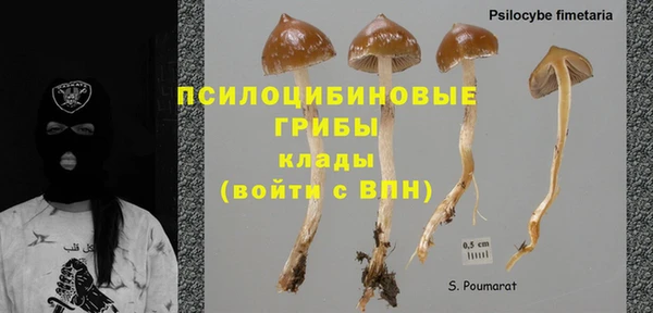 ALPHA PVP Армянск