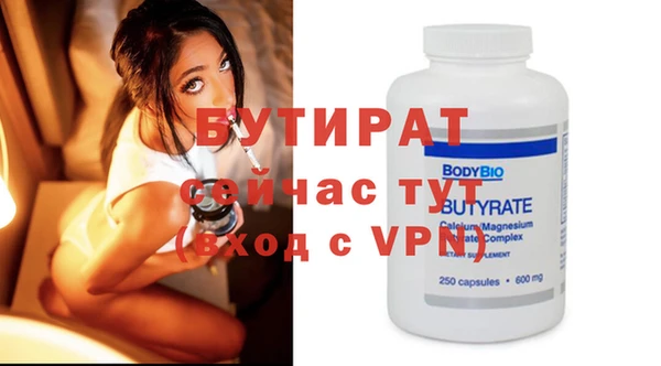 шишки Новодвинск