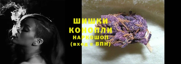 шишки Новодвинск