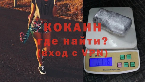 шишки Новодвинск