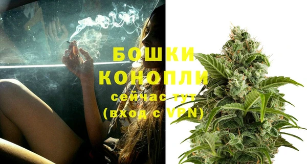 ГАЛЛЮЦИНОГЕННЫЕ ГРИБЫ Новокубанск
