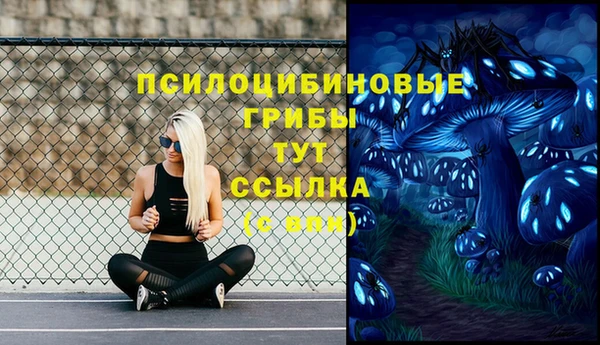 дживик Аркадак