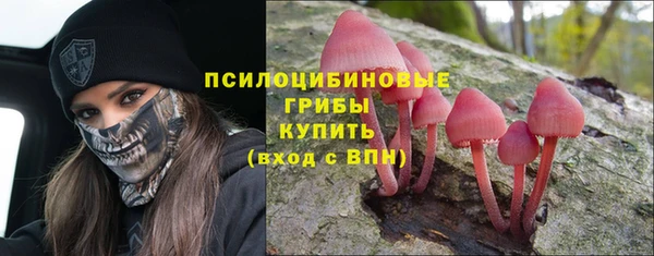дживик Аркадак