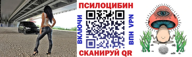 Псилоцибиновые грибы мицелий  наркотики  mega маркетплейс  Шиханы 